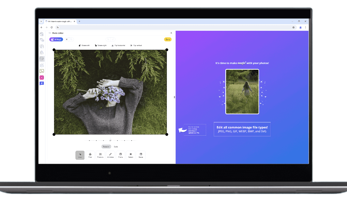 Picture Editor with aiBrowser Interface